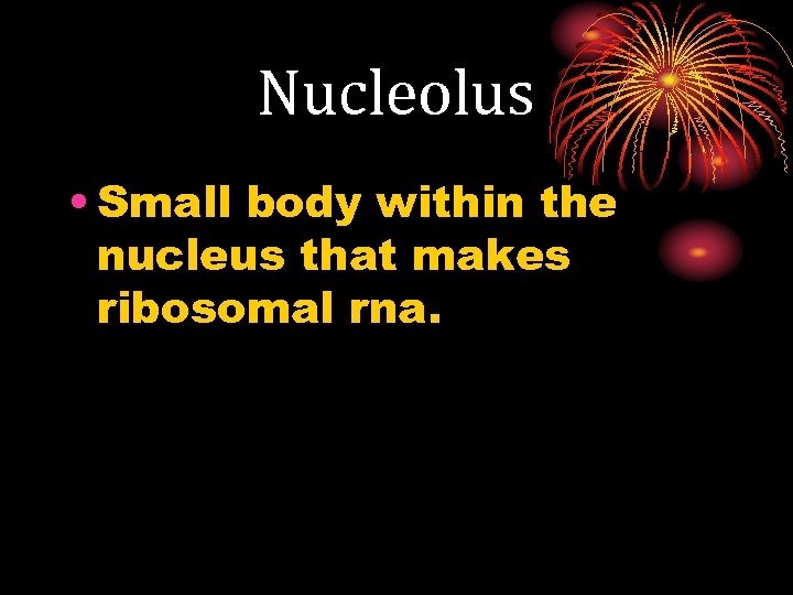 Nucleolus • Small body within the nucleus that makes ribosomal rna. 