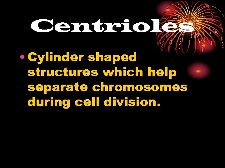 Centrioles • Cylinder shaped structures which help separate chromosomes during cell division. 