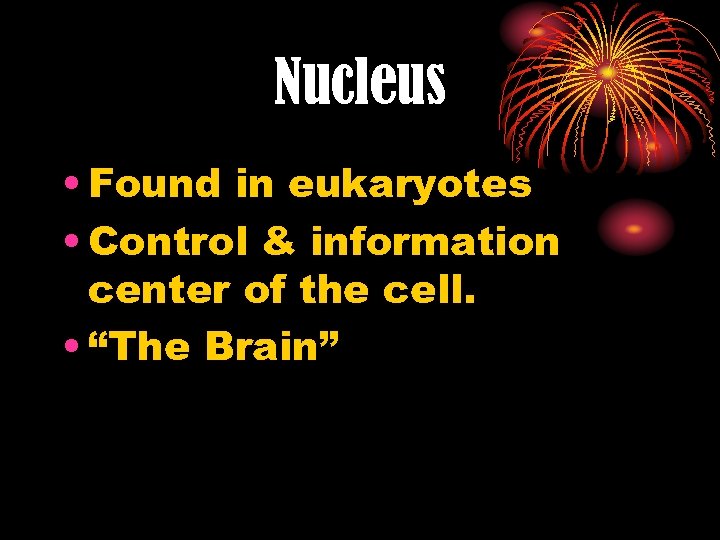 Nucleus • Found in eukaryotes • Control & information center of the cell. •