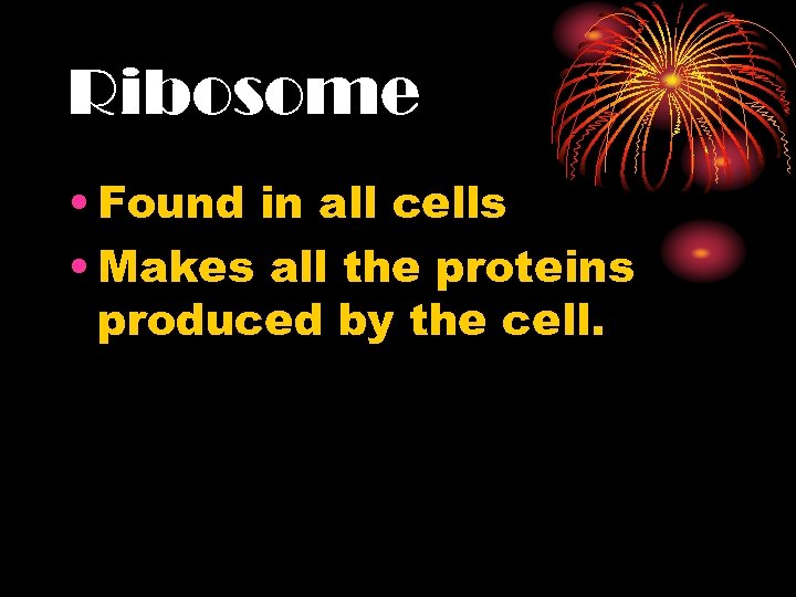 Ribosome • Found in all cells • Makes all the proteins produced by the
