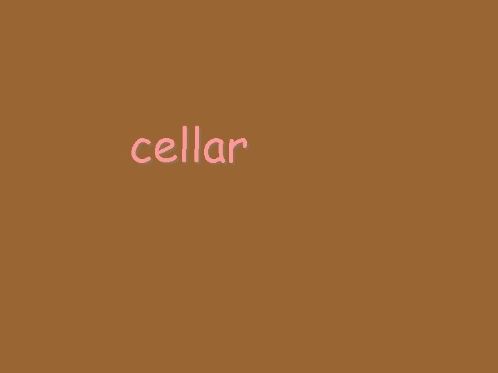 cellar 