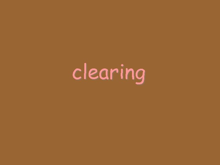 clearing 