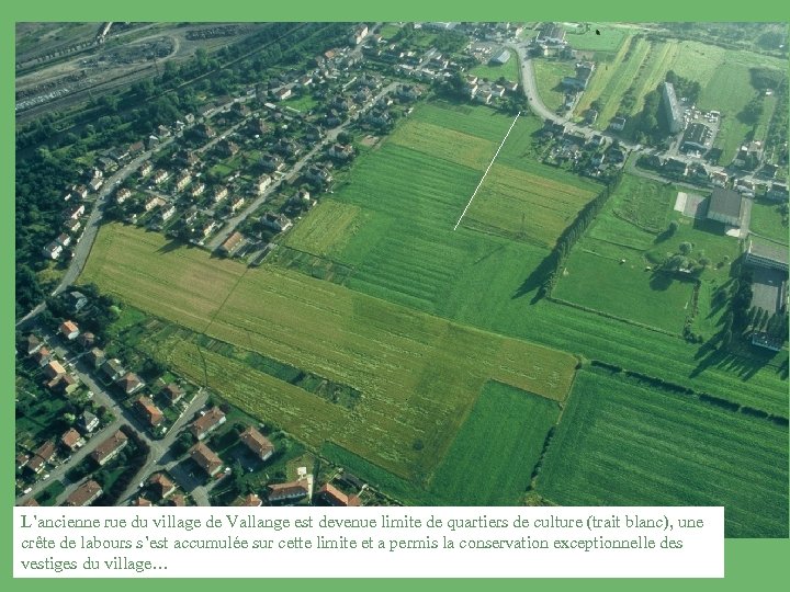 L’ancienne rue du village de Vallange est devenue limite de quartiers de culture (trait
