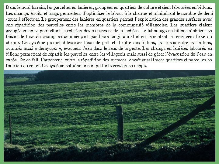 Dans le nord lorrain, les parcelles en lanières, groupées en quartiers de culture étaient