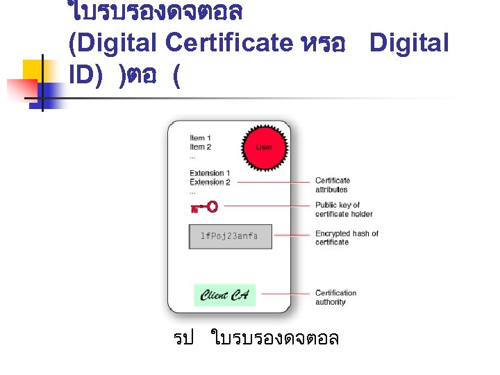 ใบรบรองดจตอล (Digital Certificate หรอ Digital ID) )ตอ ( รป ใบรบรองดจตอล 