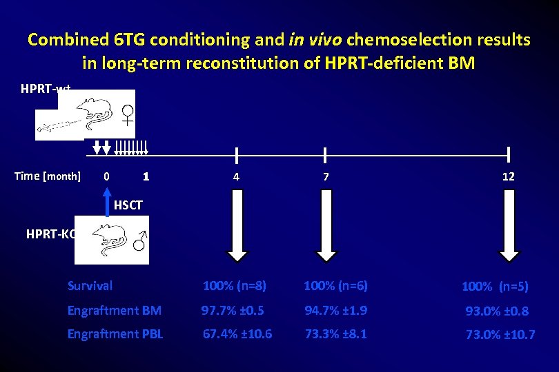 Combined 6 TG conditioning and in vivo chemoselection results in long-term reconstitution of HPRT-deficient