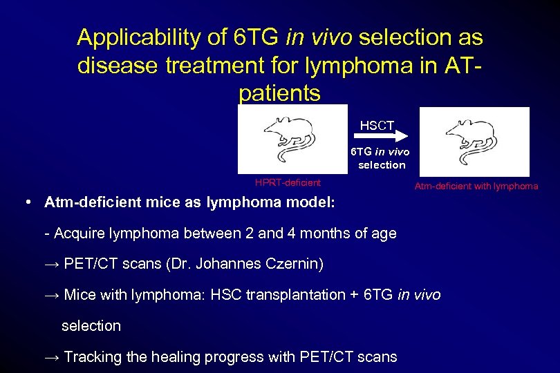 Applicability of 6 TG in vivo selection as disease treatment for lymphoma in ATpatients