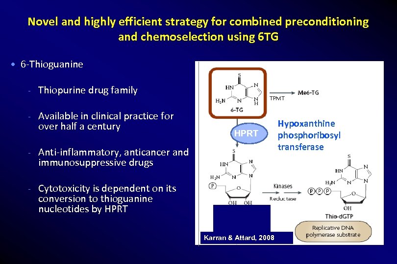 Novel and highly efficient strategy for combined preconditioning and chemoselection using 6 TG 6