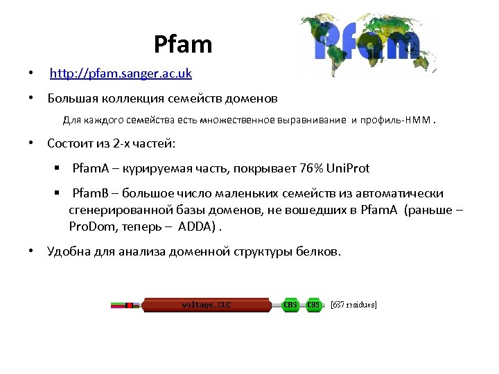 Pfam • http: //pfam. sanger. ac. uk • Большая коллекция семейств доменов Для каждого