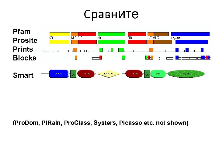 Сравните Pfam Prosite Prints Blocks Smart (Pro. Dom, PIRaln, Pro. Class, Systers, Picasso etc.