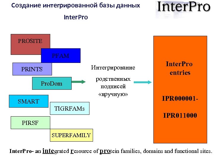 Создание интегрированной базы данных Inter. Pro PROSITE PFAM Интегрирование PRINTS Pro. Dom SMART TIGRFAMs