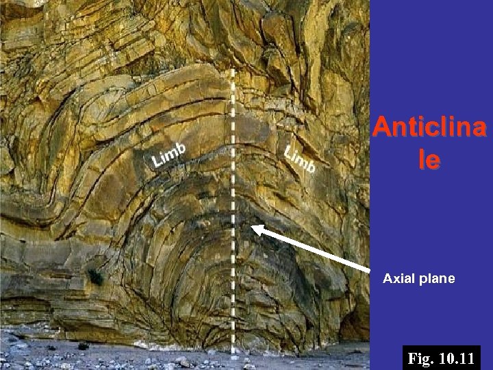 Anticlina le Axial plane Bill Evarts Fig. 10. 11 