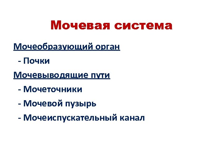 Мочевая система Мочеобразующий орган - Почки Мочевыводящие пути - Мочеточники - Мочевой пузырь -