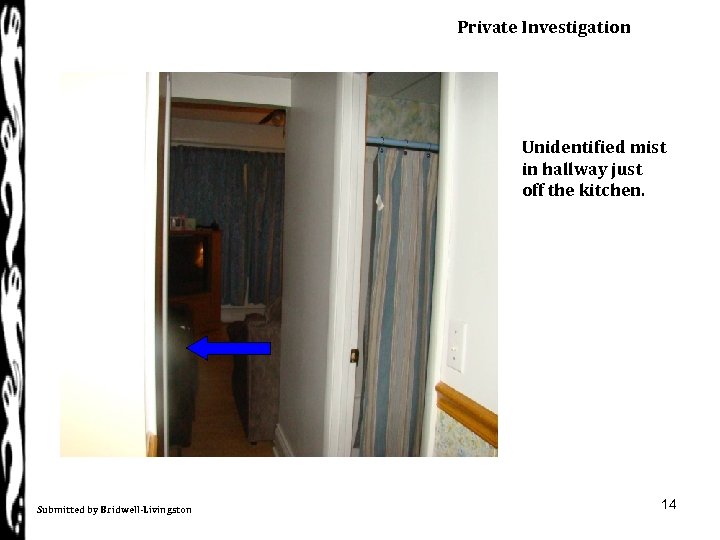 Private Investigation Unidentified mist in hallway just off the kitchen. Submitted by Bridwell-Livingston 14