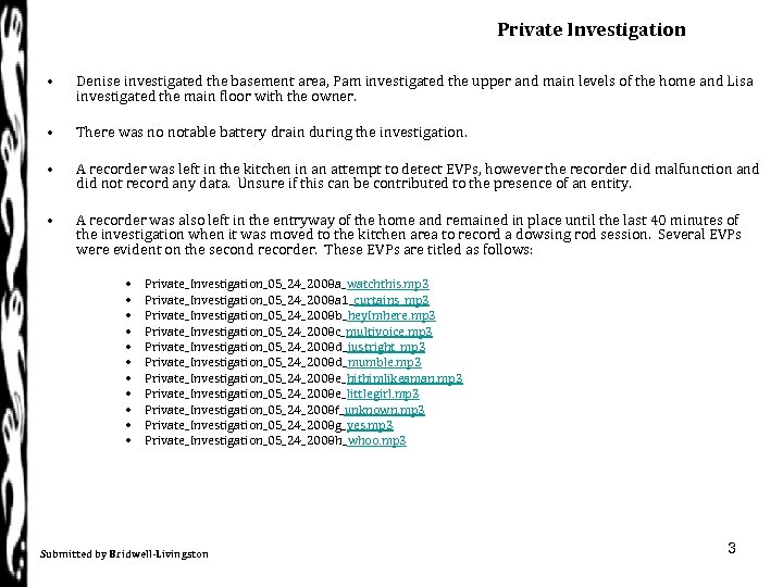 Private Investigation • Denise investigated the basement area, Pam investigated the upper and main