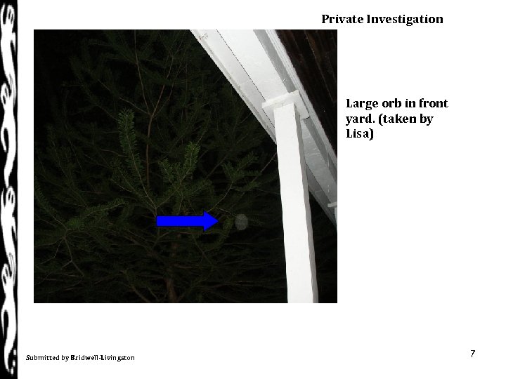 Private Investigation Large orb in front yard. (taken by Lisa) Submitted by Bridwell-Livingston 7