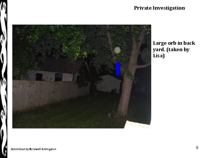 Private Investigation Large orb in back yard. (taken by Lisa) Submitted by Bridwell-Livingston 9