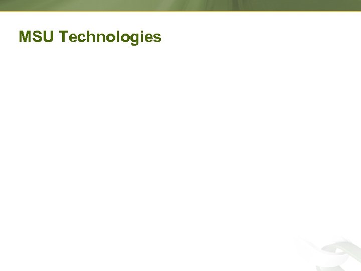 MSU Technologies 