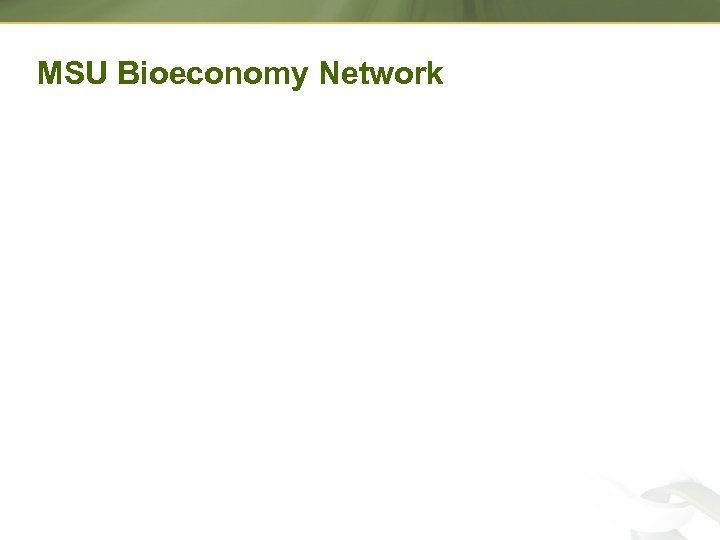 MSU Bioeconomy Network 