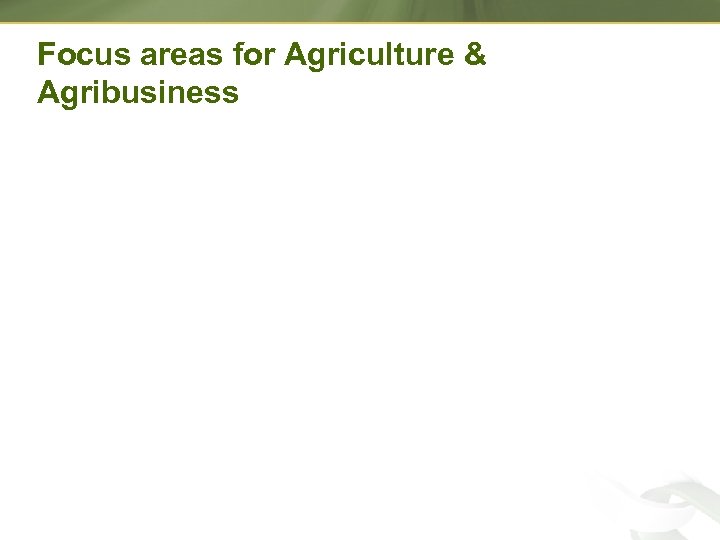 Focus areas for Agriculture & Agribusiness 
