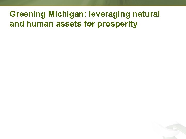 Greening Michigan: leveraging natural and human assets for prosperity 