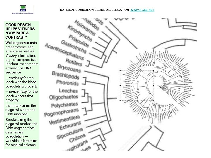NATIONAL COUNCIL ON ECONOMIC EDUCATION WWW. NCEE. NET GOOD DESIGN HELPS VIEWERS “COMPARE &
