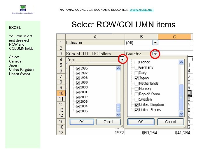 NATIONAL COUNCIL ON ECONOMIC EDUCATION WWW. NCEE. NET EXCEL You can select and deselect