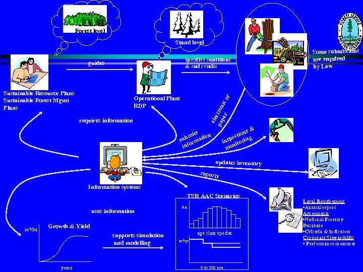 Forest level Stand level specifies conditions & end results guides Sustainable Resource Plans Sustainable