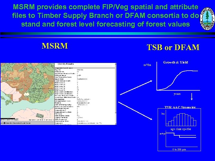 MSRM provides complete FIP/Veg spatial and attribute files to Timber Supply Branch or DFAM