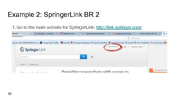 Example 2: Springer. Link BR 2 1. Go to the main website for Springer.