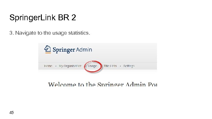 Springer. Link BR 2 3. Navigate to the usage statistics. 45 