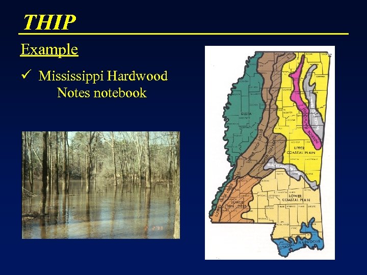 THIP Example ü Mississippi Hardwood Notes notebook 