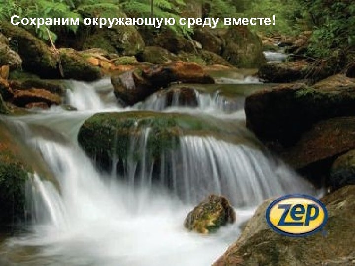 Сохраним окружающую среду вместе! 