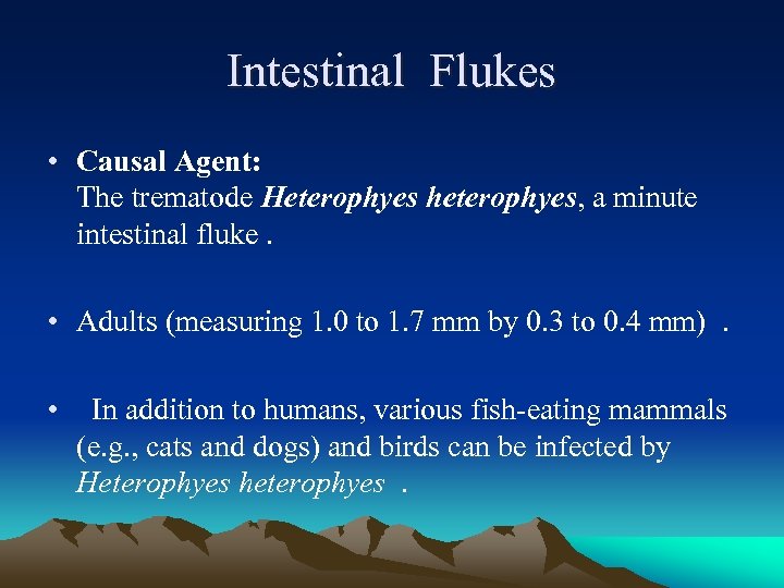 Intestinal Flukes • Causal Agent: The trematode Heterophyes heterophyes, a minute intestinal fluke. •