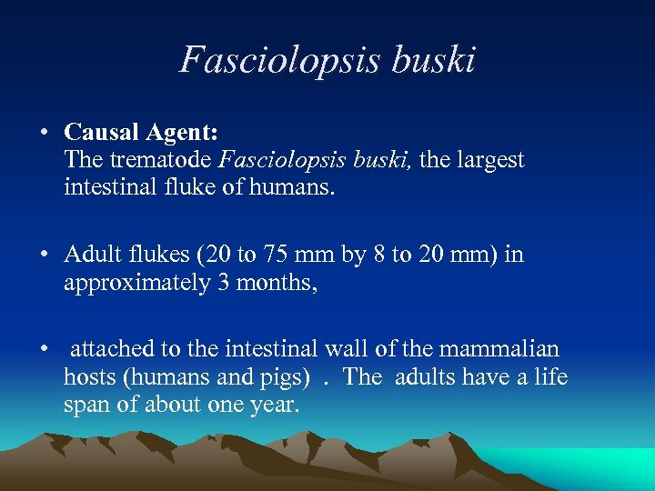 Fasciolopsis buski • Causal Agent: The trematode Fasciolopsis buski, the largest intestinal fluke of
