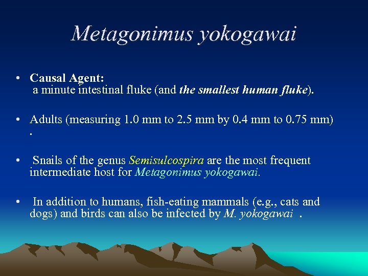 Metagonimus yokogawai • Causal Agent: a minute intestinal fluke (and the smallest human fluke).