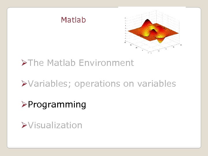 Matlab ØThe Matlab Environment ØVariables; operations on variables ØProgramming ØVisualization 