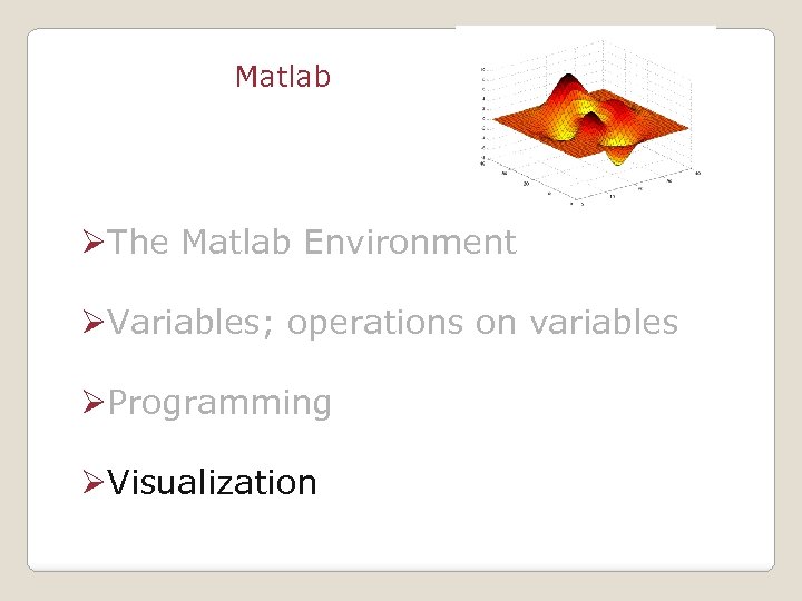 Matlab ØThe Matlab Environment ØVariables; operations on variables ØProgramming ØVisualization 