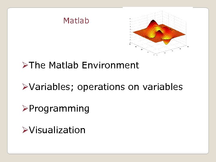 Matlab ØThe Matlab Environment ØVariables; operations on variables ØProgramming ØVisualization 