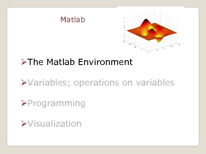 Matlab ØThe Matlab Environment ØVariables; operations on variables ØProgramming ØVisualization 