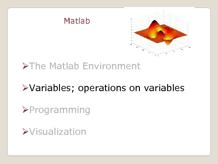 Matlab ØThe Matlab Environment ØVariables; operations on variables ØProgramming ØVisualization 