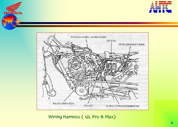 Wiring harness ( GL Pro & Max) 39 