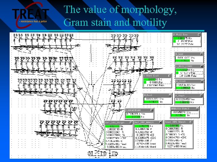 The value of morphology, Gram stain and motility 