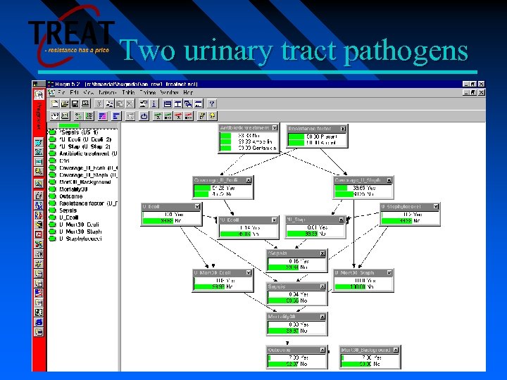 Two urinary tract pathogens 