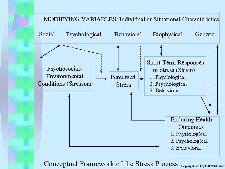 MODIFYING VARIABLES: Individual or Situational Characteristics Social Psychological Psychosocial. Environmental Conditions (Stressors) Behavioral Biophysical