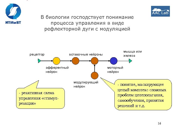В биологии господствует понимание процесса управления в виде рефлекторной дуги с модуляцией рецептор вставочные