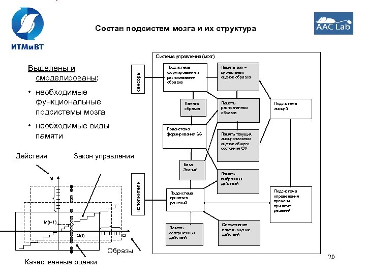 Состав подсистем мозга и их структура Система управления (мозг) сенсоры Выделены и смоделированы: •