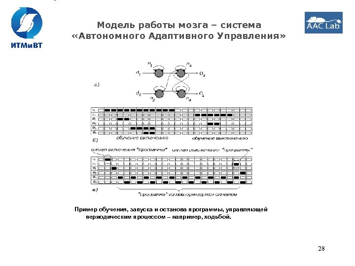 Модель работы мозга – система «Автономного Адаптивного Управления» Пример обучения, запуска и останова программы,
