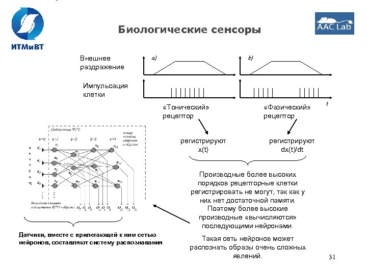 Биологические сенсоры Внешнее раздражение a) b) Импульсация клетки «Тонический» рецептор регистрируют x(t) «Фазический» рецептор