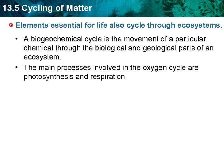 13. 5 Cycling of Matter Elements essential for life also cycle through ecosystems. •
